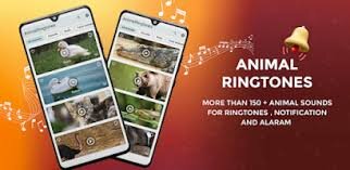 Animal Ringtone